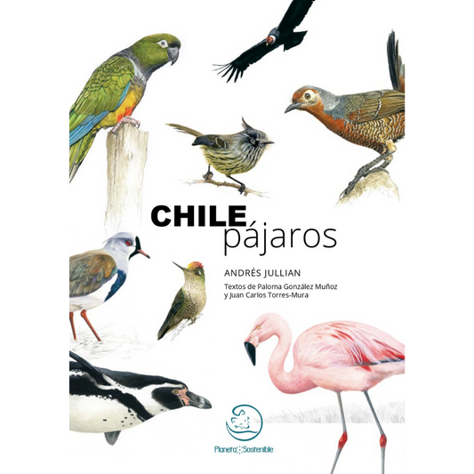 Chile pajaros - Andrés Jullian