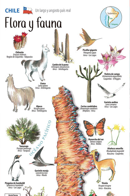 Flora y fauna de Chile - Mapa desplegable