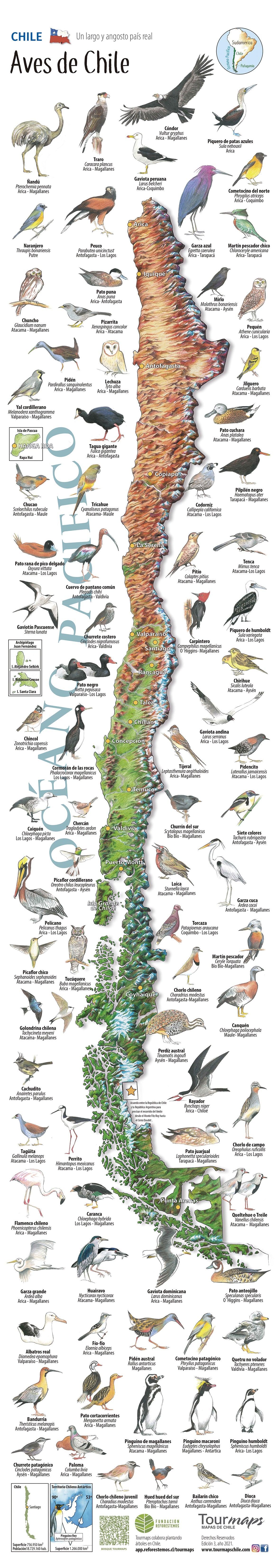 Aves de Chile - Mapa desplegable