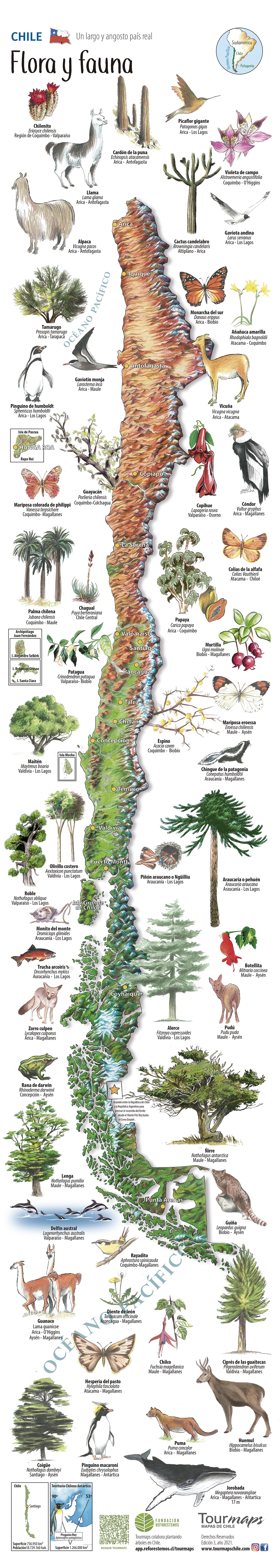 Flora y fauna de Chile - Mapa desplegable