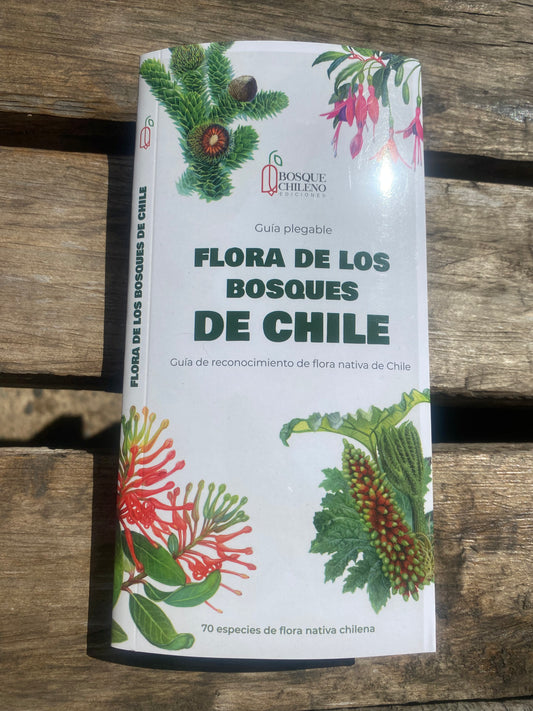 Guía flora de los bosques de Chile