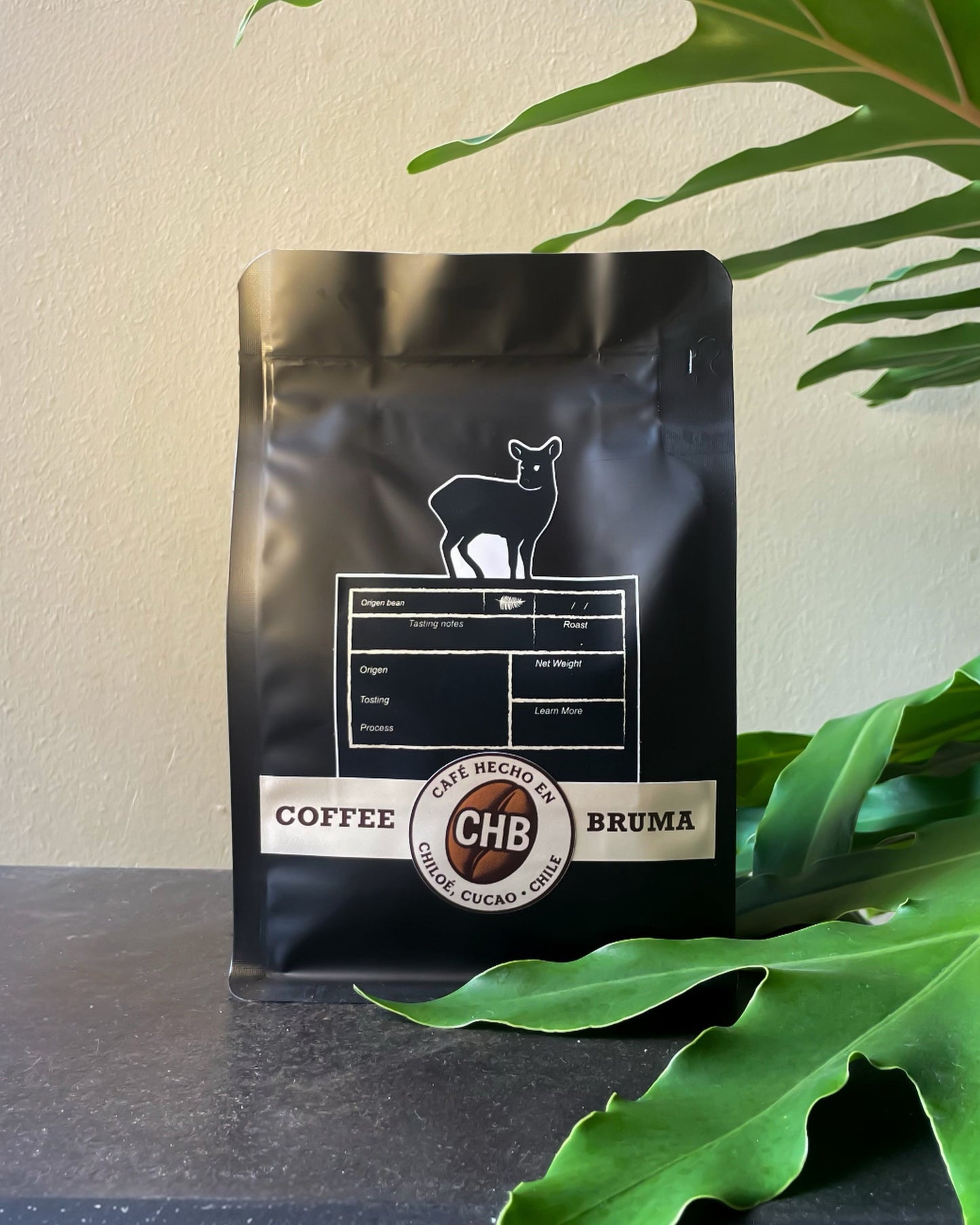 Café Bruma